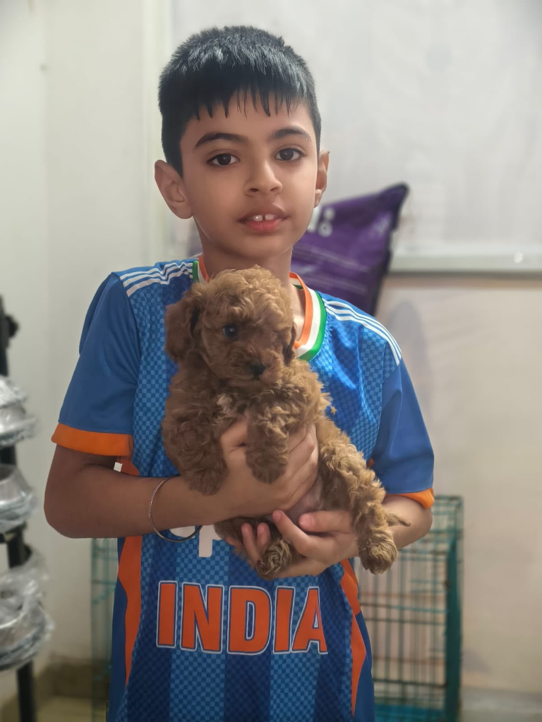 Child customer with Poodle puppy